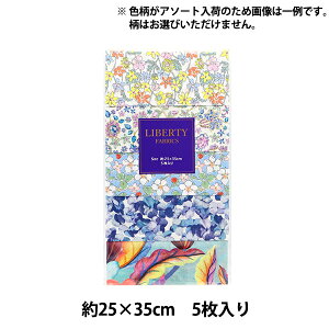 n woeBEt@ubNX JbgNX 5Zbg JChuAg C-LIBERTY54S3xLiberty Japan oeBWp