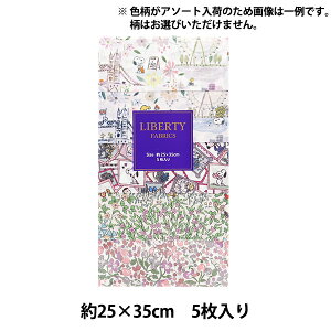 n woeBEt@ubNX JbgNX s[ibcsN 5Zbg C-LIB5-24SS11xLiberty Japan oeBWp