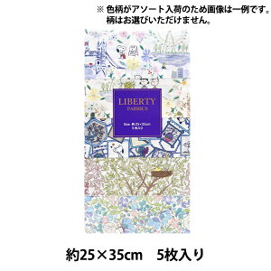 n woeBEt@ubNX JbgNX s[ibcu[ 5Zbg C-LIB5-24SS12xLiberty Japan oeBWp