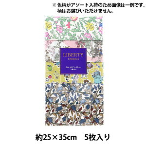 n woeBEt@ubNX JbgNX2024SSs[^[rbgERNV 5Zbg C-LIB5-24SS17x Liberty Japan oeBWp