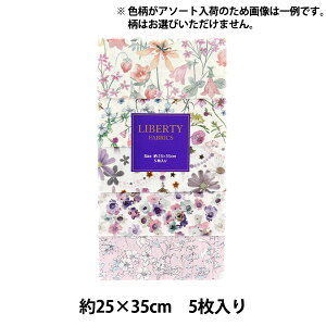 n woeBEt@ubNX ^i[ 5gJbg lCeBut[Y C-LIB5-24AW04x Liberty Japan oeBWp