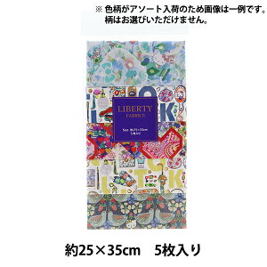 n woeBEt@ubNX JbgNX 5Zbg 24AWn[LeB sN C-LIB5-24AW06xLiberty Japan oeBWp