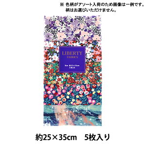 n woeBEt@ubNX JbgNX 5gZbg p[[NX}X sN C-LIB5-24AW08x Liberty Japan oeBWp