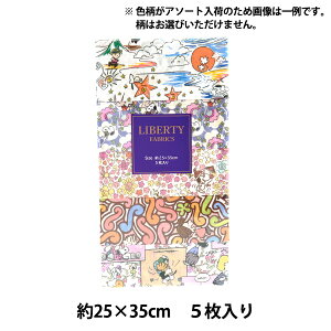 n woeBEt@ubNX JbgNX s[ibc sNn 5Zbg C-LIB5-25SS07x Liberty Japan oeBWp