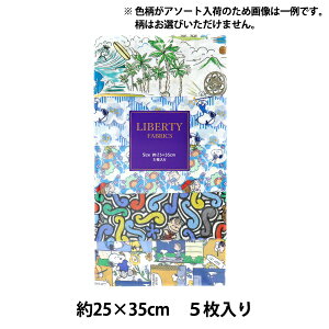 n woeBEt@ubNX JbgNX s[ibc u[n 5Zbg C-LIB5-25SS08x Liberty Japan oeBWp