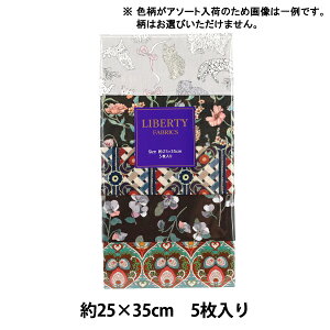 n woeBEt@ubNX JbgNX fBPCYECEu[ sNn 5Zbg C-LIB5-25AW03x Liberty Japan oeBWp