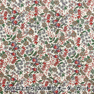 y5z n woeBEt@ubNX ^i[ ZA 363J4224-24BUx Liberty Japan oeBWp