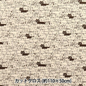 n wV[`O lR炯 JbgNX 110×50cm O[ C-ACS1107-Cx