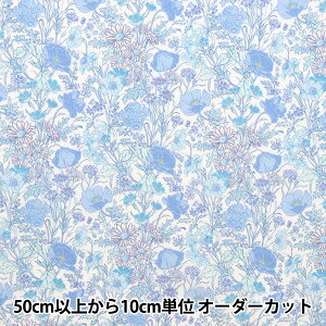 y5z n woeBEt@ubNX ^i[ t[XC 3632002-J24Ex Liberty Japan oeBWp