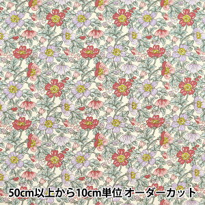 y5z n wu[h ԕ x_[ KTS6847-Dx COTTON KOBAYASHI Rbg΂₵ ё@