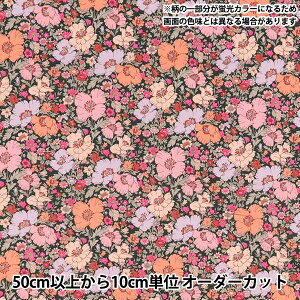 y5z n woeBEt@ubNX lIJ[ ^i[ hDE\OElI DC35072GJ25Ax Liberty Japan oeBWp