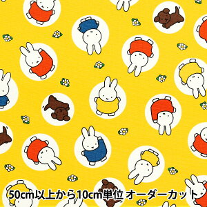 y5z n wIbNX ~btB[ hbg CG[ G-2025-1Ax KOKKA RbJ