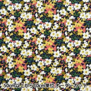 y5z n woeBEt@ubNX ^i[ p[[ENX}X PCeBY 3630183P24Bx Liberty Japan oeBWp