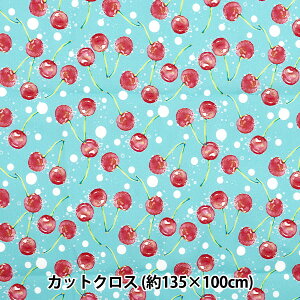 n w|GXe ͗lfUCi[mayaV[Y ڃ\[_ JbgNX 135cm×100cm CINMA-SAx