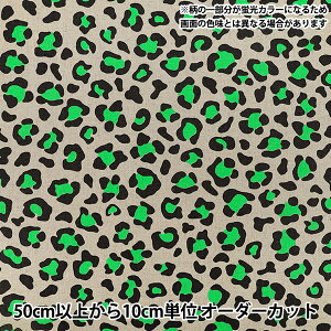 �y����5����z ���n �w�Ȗ��L�����o�X �q���E �O���[�� CLHYO-GREEN�x