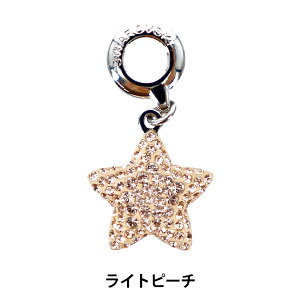 XtXL[ w#86512 BeCharmed Pave StarCharm X^[`[ Cgs[` 1x