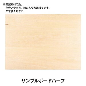 g[yCgޗ wTv{[hn[t SK-00894x