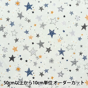 �y����5����z ���n �w�V�[�`���O �J���t���L�����o�X �X�^�[���C�g �O���[ COCAN-STA-GY�x KOKKA �R�b�J