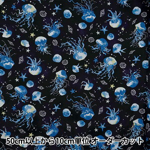 y5z n wNOVA V[`O ʃNQ ubN NSE-JELLY-BKx KOKKA RbJ yUIWiz