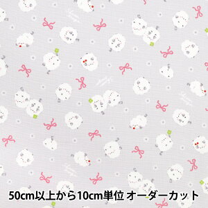 y5z n wIbNX V}GiK{ O[ AP55107-1Ex