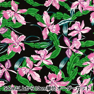 y5z n w}EiA TCnCAvg JgA ubN×sN ZK000370x