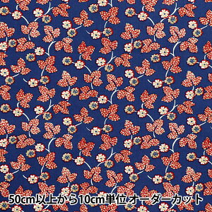 y5z n wSOULEIADO \CA[h Be[WtB[ T|l vVu[ SLFCV-111Bx