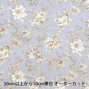 y5z n wWK[[ `ԕ u[O[ AP52209-Cx
