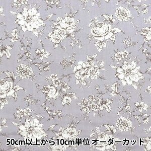 y5z n wWK[[ `ԕ O[ AP52209-Ex