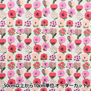 y5z n wkippis (LbsX) IbNX ~̐A sN KPO-85Cx