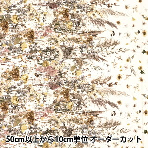 y5z n wfW^vg ~XC t[{[_[ mingswim013x