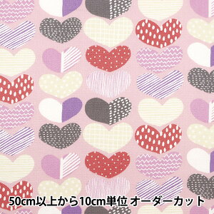 y5z n wkippis (LbsX) IbNX n[g sN KPO-17Nx yU菤iz yUIWiz