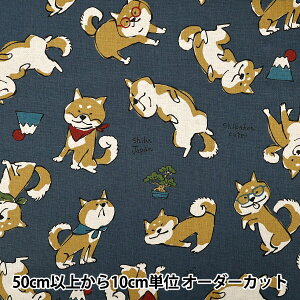 y5z n wȖLoX Doodle Animals lCr[ YKA-36000-2Dx KOKKA RbJ