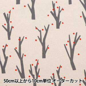 y5z n wI[KjbNIbNX }fB[[NX ڂ EKX-137-1Ax KOKKA RbJ