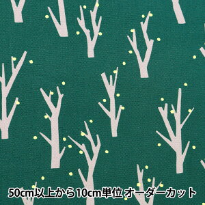 y5z n wI[KjbNIbNX }fB[[NX ڂ EKX-137-1Bx KOKKA RbJ