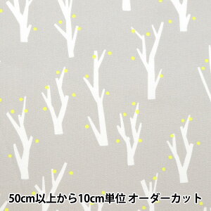 y5z n wI[KjbNIbNX }fB[[NX ڂ EKX-137-1Cx KOKKA RbJ