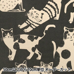 y5z n wechino (G`m) NekoNoe CAT CAT ȖLoX `R[O[ EYX-91000-101Bx KOKKA RbJ