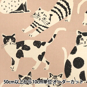 y5z n wechino (G`m) NekoNoe CAT CAT ȖLoX sNx[W EYX-91000-101Cx KOKKA RbJ