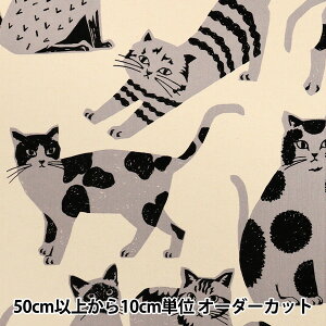 �y����5����z ���n �wechino (�G�`�m) NekoNoe CAT CAT �Ȗ��L�����o�X �L�i�� EYX-91000-101D�x KOKKA �R�b�J