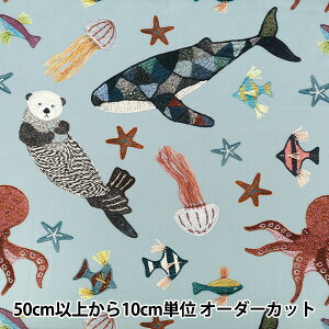�y����5����z ���n �w�V�[�`���O KARI ISIKAWA (�C�V�J���J��) in the sea EGX-9900-2A�x KOKKA �R�b�J