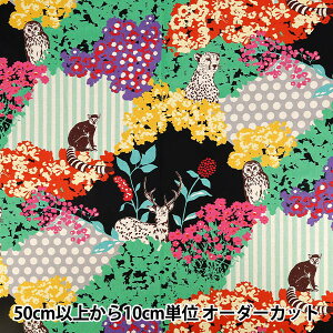 �y����5����z ���n �wechino (�G�`�m) �Ȗ��L�����o�X hide �u���b�N EKX-98160-60D�x KOKKA �R�b�J