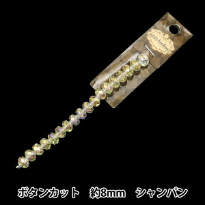 ANZT[f wKXr[Y {^Jbg 8mm Vp GN-08-24SS-07x