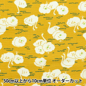 y5z n wIbNX Il X CG[ ON10640S-Dx