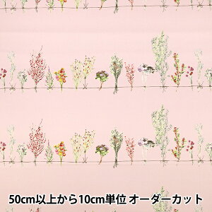 y5z n wmOmen-t [g CNWFbgvg XbO sN 150-1668-C-2x