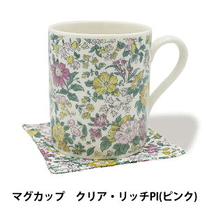 H woeBEt@ubNX }OJbv NAb` sNx DDintex fB[fB[CfbNX