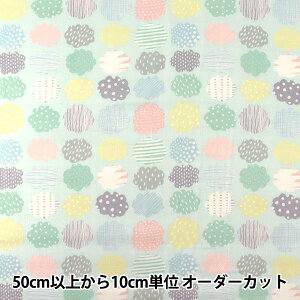 y5z n wkippis(LbsX) WK[[(_uK[[)vg Ƃǂ_ KPW-11Ex