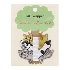 by wЂAj}hJ^Oby ˂ LGW-7Bx KOKKA RbJ