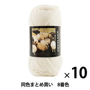【10玉セット】秋冬毛糸 『SHETLAND(シェットランド) 8番色』 Puppy パピー【まとめ買い・大口】