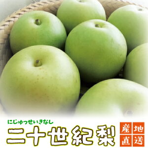 yV z\Iy13kgz퉷 s ɂ Yn t[c ʕ  a nashi