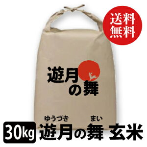 yV zV̕ ā@30kgɌ AnY V yԌzyʌzy\̔zy͂wsz