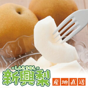 yV zVy13kgz퉷 s 񂱂Ȃ@ Yn t[c ʕ  a nashi